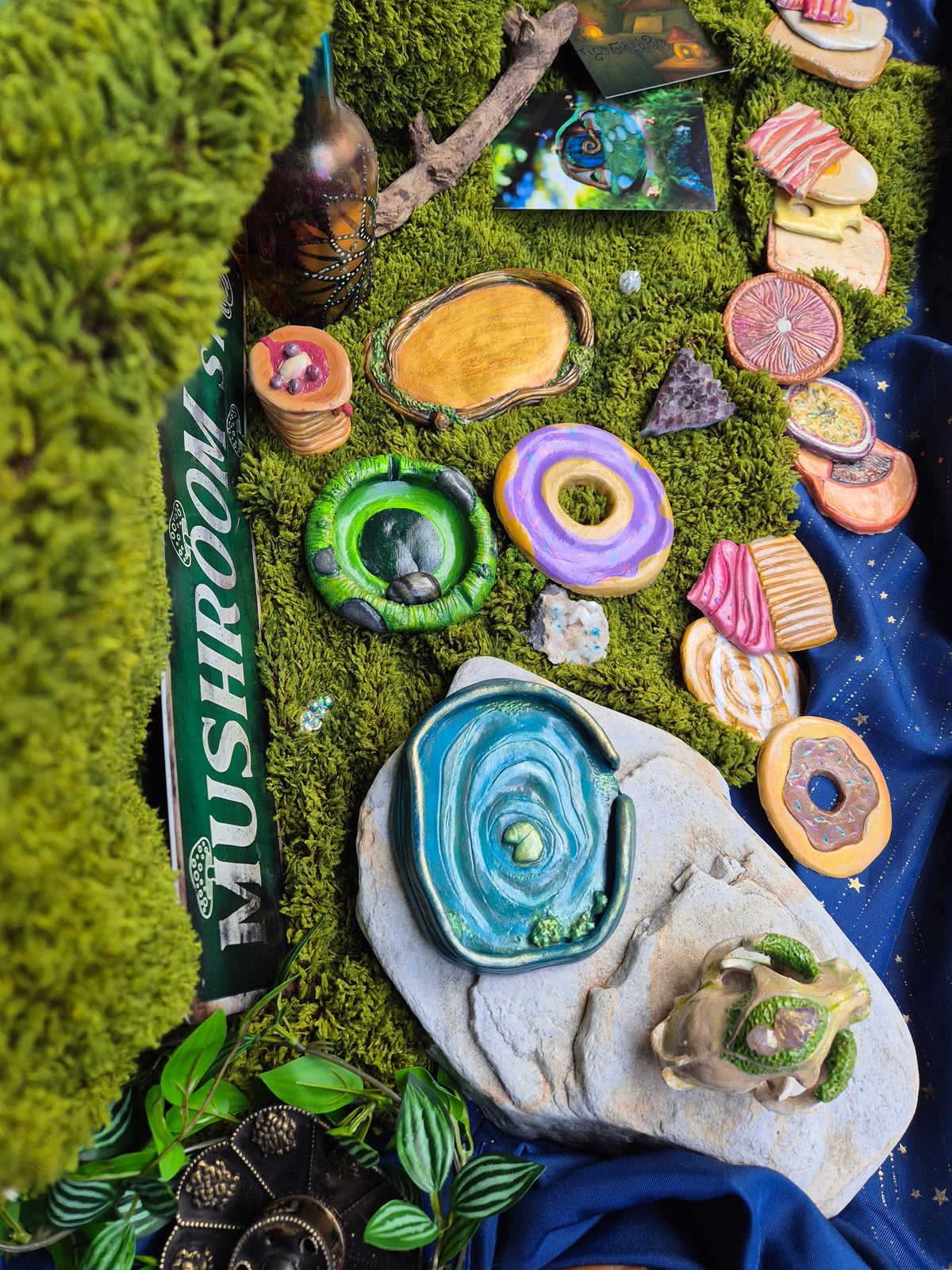 🍄✨️Les nouveautés✨️🍄