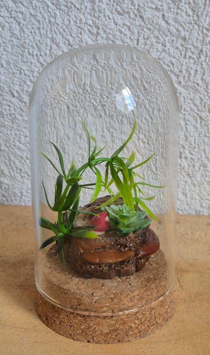 ✨ souche magique mini Mondes Magiques sous Cloche ✨