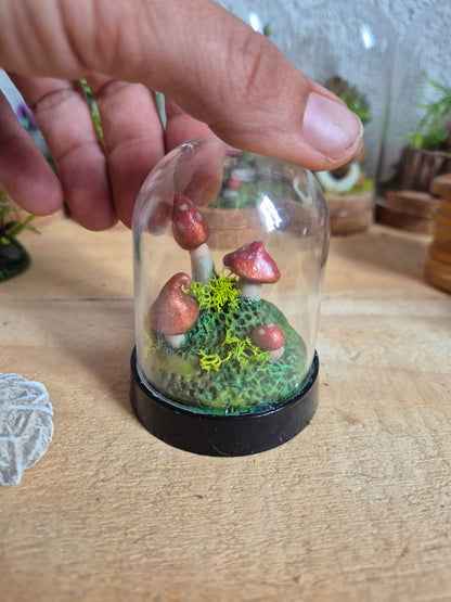 ✨ mush2 Mini Mondes Magiques sous Cloche ✨