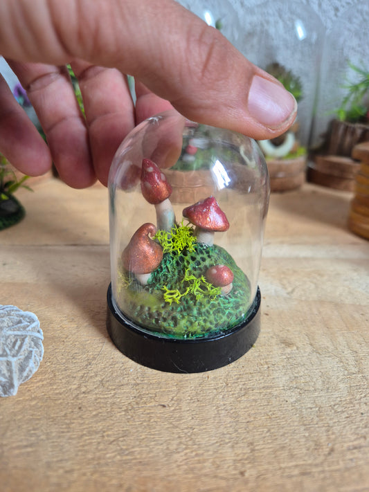 ✨ mush2 Mini Mondes Magiques sous Cloche ✨